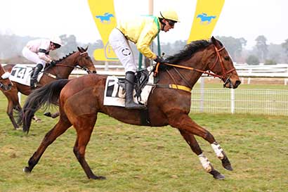 Photo d'arrivée de la course pmu PRIX DIX CORS ROYAL à FONTAINEBLEAU le Mardi 11 mars 2025