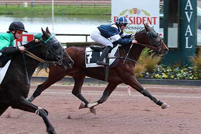 Photo d'arrivée de la course pmu PRIX WWW.HIPPODROME-LAVAL.FR à LAVAL le Mercredi 12 mars 2025