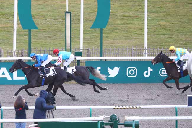 Photo d'arrivée de la course pmu PRIX DE LA GOURSAULE à CHANTILLY le Jeudi 13 mars 2025