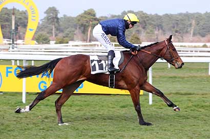Photo d'arrivée de la course pmu PRIX DES TROIS MASSIFS à FONTAINEBLEAU le Vendredi 14 mars 2025
