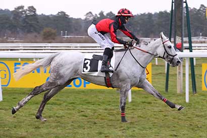 Photo d'arrivée de la course pmu PRIX DU ROCHER DES DEMOISELLES à FONTAINEBLEAU le Vendredi 14 mars 2025