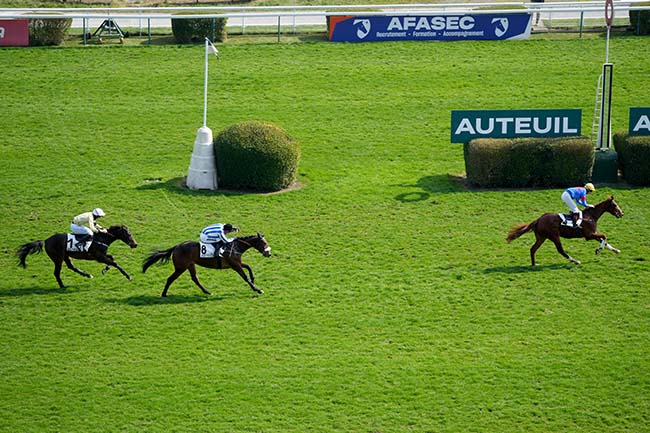 Photo d'arrivée de la course pmu PRIX THE COYOTE à AUTEUIL le Samedi 15 mars 2025
