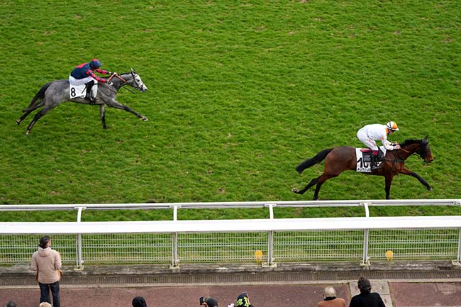 Photo d'arrivée de la course pmu PRIX AURICULA à AUTEUIL le Samedi 15 mars 2025