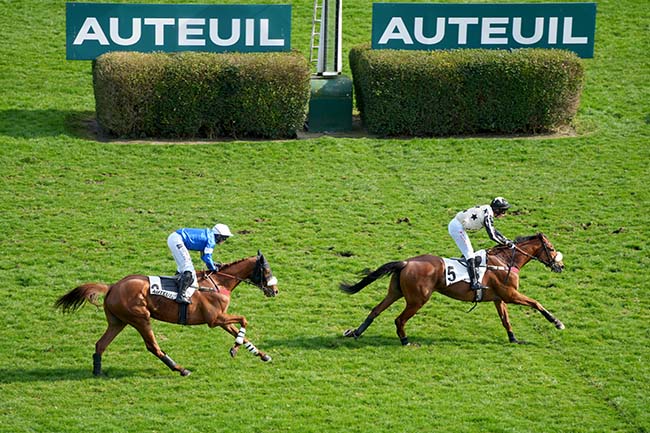 Photo d'arrivée de la course pmu PRIX AIR LANDAIS à AUTEUIL le Samedi 15 mars 2025