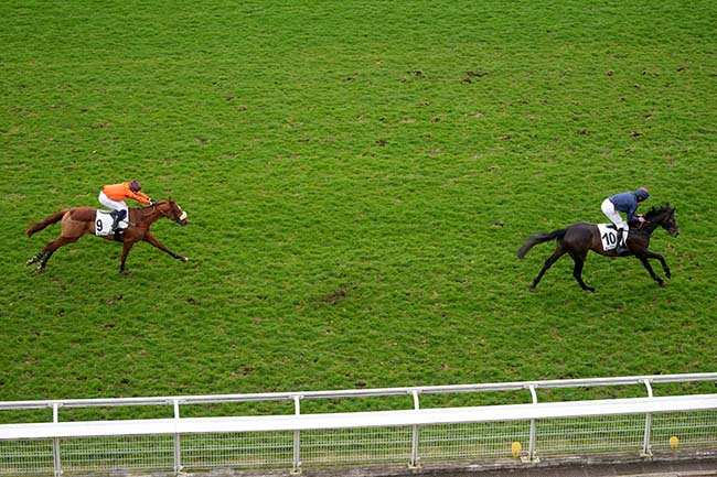 Photo d'arrivée de la course pmu PRIX RUSH à AUTEUIL le Samedi 15 mars 2025