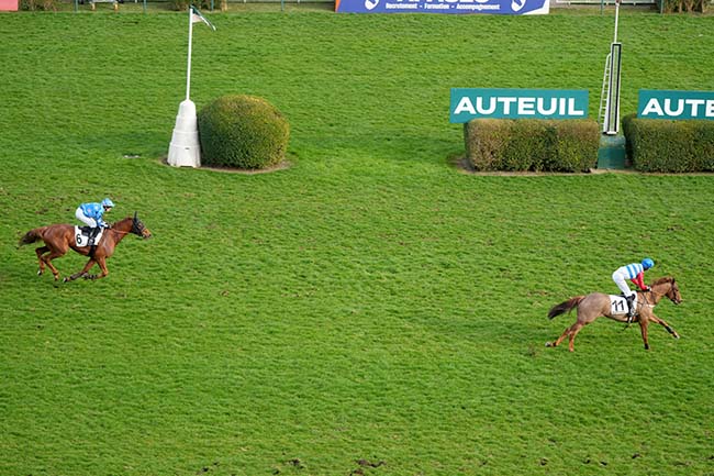 Photo d'arrivée de la course pmu PRIX ALEC CARTER à AUTEUIL le Samedi 15 mars 2025