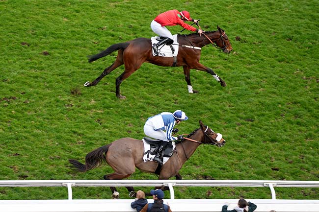 Photo d'arrivée de la course pmu PRIX HUBERT DE NAVAILLES à AUTEUIL le Samedi 15 mars 2025