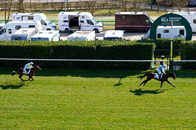Photo d'arrivée de la course pmu PRIX RONDE DE NUIT à CHANTILLY le Lundi 17 mars 2025