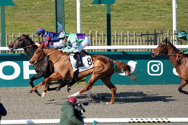 Photo d'arrivée de la course pmu PRIX DU CHATEAU à CHANTILLY le Lundi 17 mars 2025