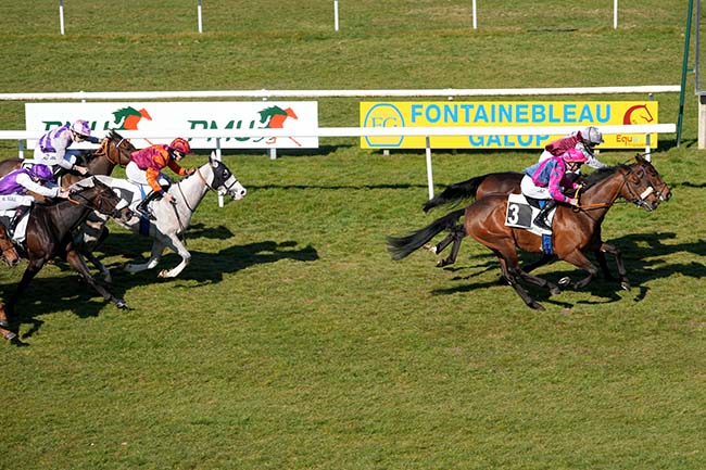 Photo d'arrivée de la course pmu PRIX DE LA DAME JOUANNE à FONTAINEBLEAU le Mardi 18 mars 2025