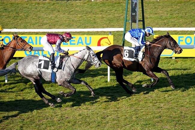 Photo d'arrivée de la course pmu PRIX EUGENIE DE MONTIJO à FONTAINEBLEAU le Mardi 18 mars 2025