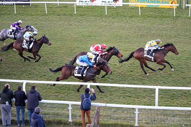 Photo d'arrivée de la course pmu PRIX DE LARCHANT à FONTAINEBLEAU le Mardi 18 mars 2025