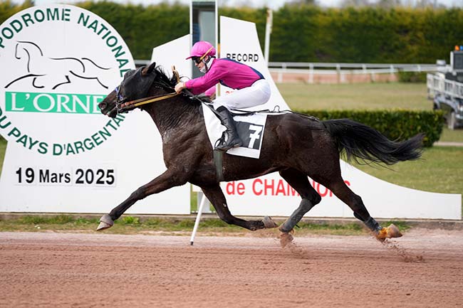 Photo d'arrivée de la course pmu PRIX DU CHATEAU DE CHAMBOIS à ARGENTAN le Mercredi 19 mars 2025