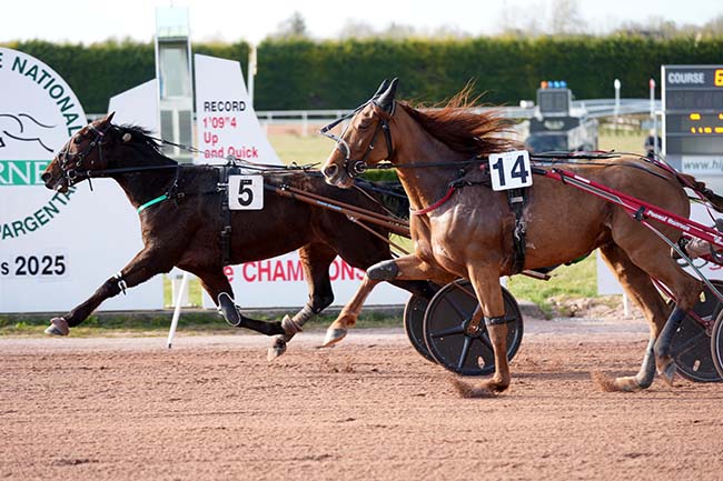 Photo d'arrivée de la course pmu PRIX DU CHATEAU DU HARAS NATIONAL DU PIN à ARGENTAN le Mercredi 19 mars 2025