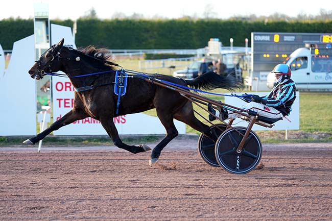 Photo d'arrivée de la course pmu PRIX DE LA REGION NORMANDIE à ARGENTAN le Mercredi 19 mars 2025