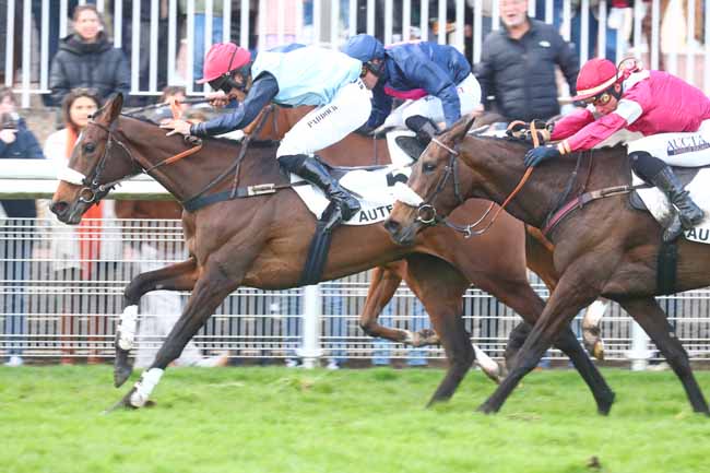 Photo d'arrivée de la course pmu PRIX DE PEPINVAST à AUTEUIL le Dimanche 23 mars 2025
