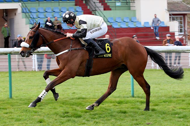 Photo d'arrivée de la course pmu PRIX BEAUTE DE COUR à COMPIEGNE le Lundi 24 mars 2025