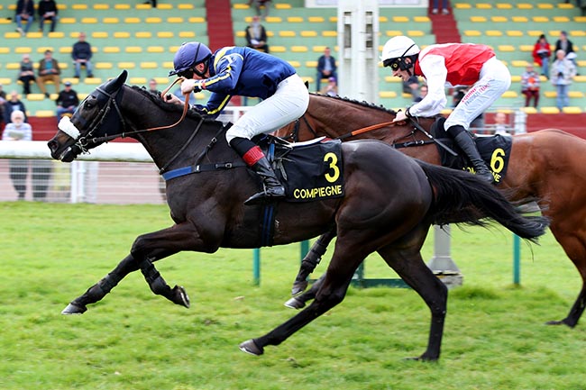 Photo d'arrivée de la course pmu PRIX DURTAIN à COMPIEGNE le Lundi 24 mars 2025