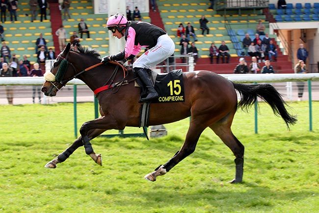 Photo d'arrivée de la course pmu PRIX DE PRECHAC à COMPIEGNE le Lundi 24 mars 2025