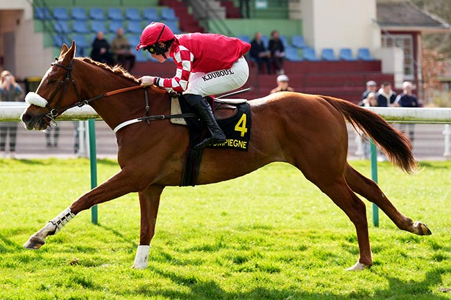 Photo d'arrivée de la course pmu PRIX DE BRISSAC à COMPIEGNE le Lundi 24 mars 2025