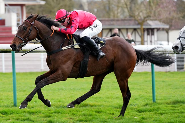 Photo d'arrivée de la course pmu PRIX ROBERT FOURNIER-SARLOVEZE à COMPIEGNE le Lundi 24 mars 2025