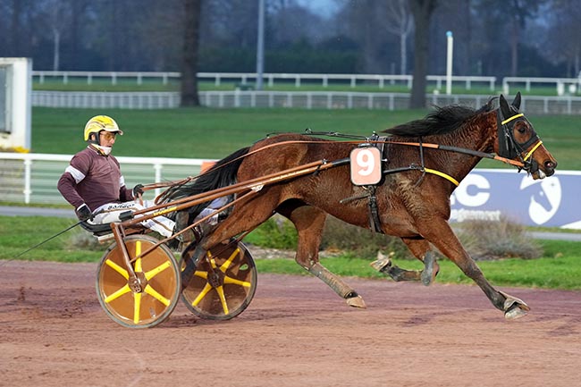 Photo d'arrivée de la course pmu PRIX DE L'ISERE à ENGHIEN le Mardi 25 mars 2025