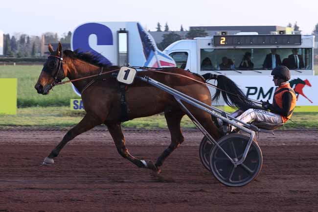 Photo d'arrivée de la course pmu PRIX DE LA PATROUILLE DE FRANCE à SALON DE PROVENCE le Mercredi 26 mars 2025