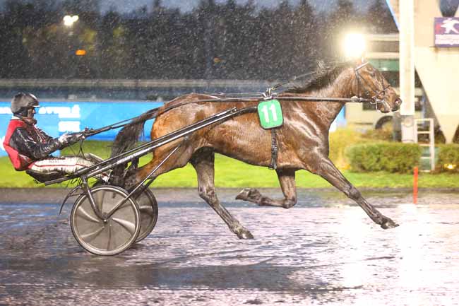 Photo d'arrivée de la course pmu PRIX LUCIA à PARIS-VINCENNES le Vendredi 28 mars 2025