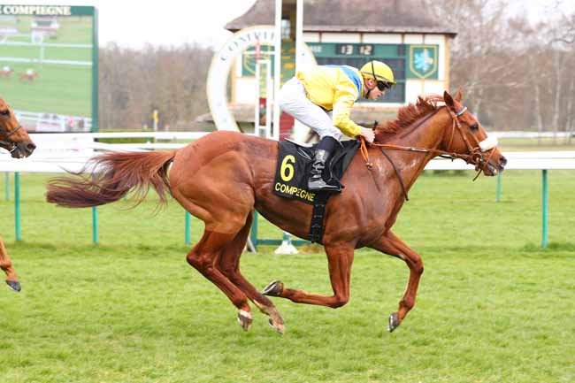 Photo d'arrivée de la course pmu PRIX DES RUINES DE CHAMPLIEU à COMPIEGNE le Vendredi 28 mars 2025