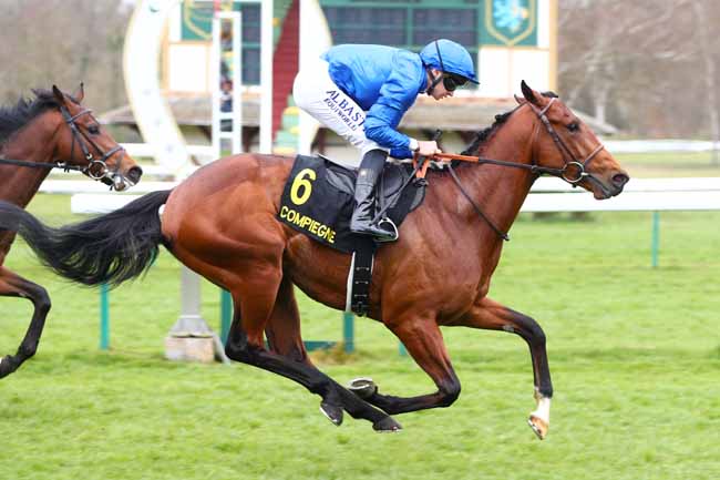 Photo d'arrivée de la course pmu PRIX DE LA BOURDELOTTE à COMPIEGNE le Vendredi 28 mars 2025