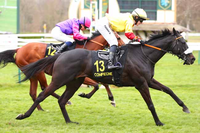 Photo d'arrivée de la course pmu PRIX DU VIVIER FRERE ROBERT à COMPIEGNE le Vendredi 28 mars 2025