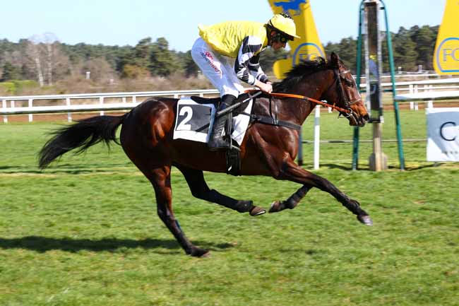Photo d'arrivée de la course pmu PRIX KADALKO - BERNARD SECLY à FONTAINEBLEAU le Samedi 29 mars 2025