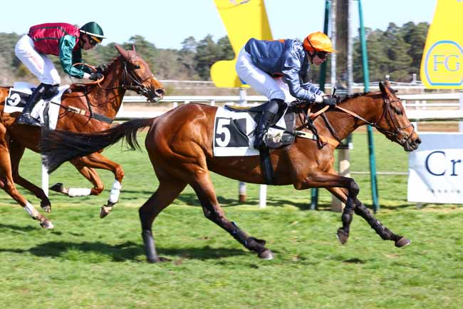 Photo d'arrivée de la course pmu PRIX QUAZVIN II à FONTAINEBLEAU le Samedi 29 mars 2025