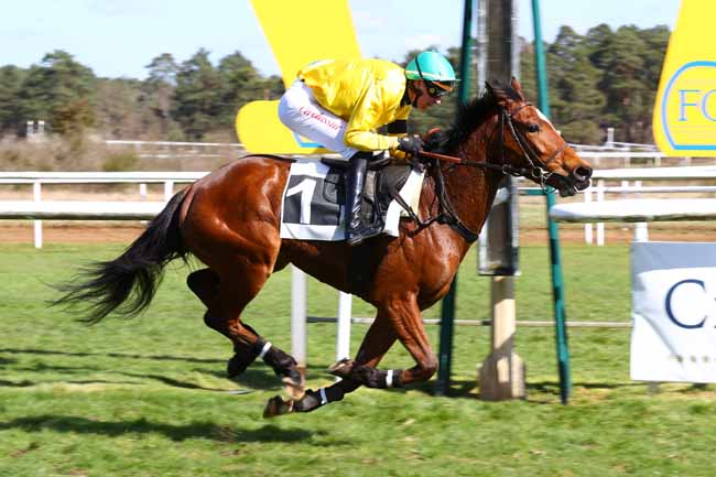 Photo d'arrivée de la course pmu PRIX DE LA SOCIETE DES COURSES DE PAU à FONTAINEBLEAU le Samedi 29 mars 2025