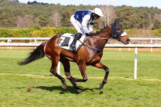 Photo d'arrivée de la course pmu PRIX DE SERMAISE à FONTAINEBLEAU le Samedi 29 mars 2025
