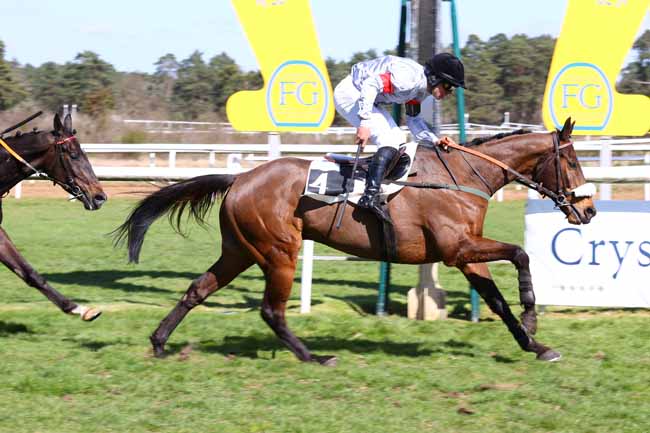 Photo d'arrivée de la course pmu PRIX DE LA COMMUNAUTE D'AGGLOMERATION DU PAYS DE FONTAINEBLEAU (CHAMPIONNAT DES APPRENTIS ET JEUNES JOCKEYS) à FONTAINEBLEAU le Samedi 29 mars 2025