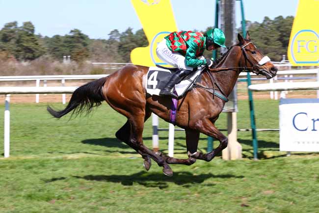 Photo d'arrivée de la course pmu PRIX DE LA MARE AUX COULEUVRES à FONTAINEBLEAU le Samedi 29 mars 2025