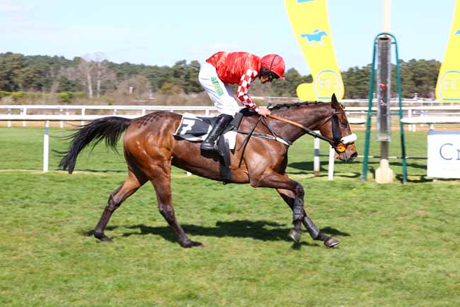 Photo d'arrivée de la course pmu GRAND STEEPLE-CHASE CROSS-COUNTRY DE FONTAINEBLEAU à FONTAINEBLEAU le Samedi 29 mars 2025