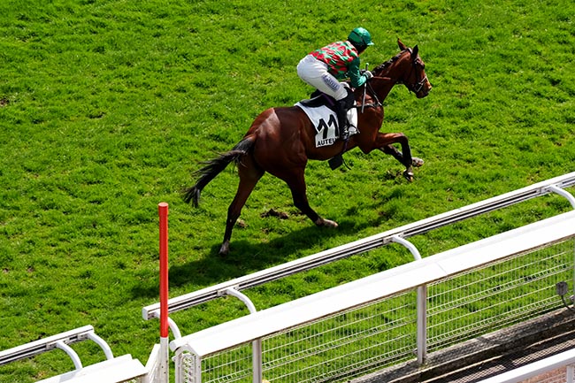 Photo d'arrivée de la course pmu PRIX GRANDAK à AUTEUIL le Dimanche 30 mars 2025