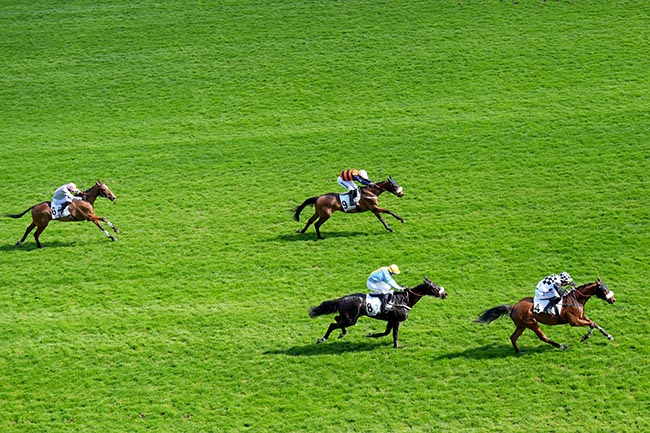 Arrivée quinté pmu PRIX ROSE OR NO à AUTEUIL