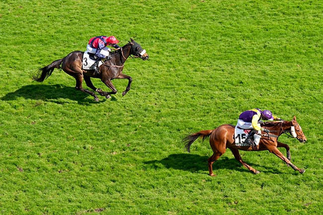 Photo d'arrivée de la course pmu PRIX NECOR à AUTEUIL le Dimanche 30 mars 2025