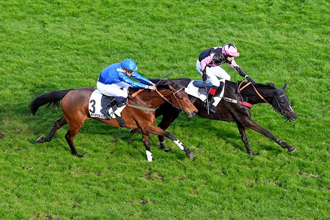Photo d'arrivée de la course pmu PRIX ALAIN GRIMAUX à AUTEUIL le Dimanche 30 mars 2025