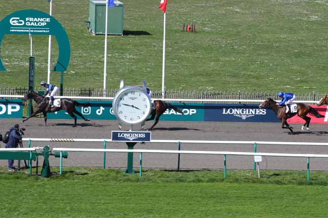 Photo d'arrivée de la course pmu PRIX DE LA TETE DU ROND à CHANTILLY le Lundi 31 mars 2025