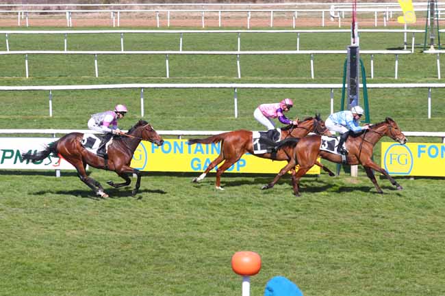 Photo d'arrivée de la course pmu PRIX DE LA CROIX DE VITRY à FONTAINEBLEAU le Mardi 1 avril 2025