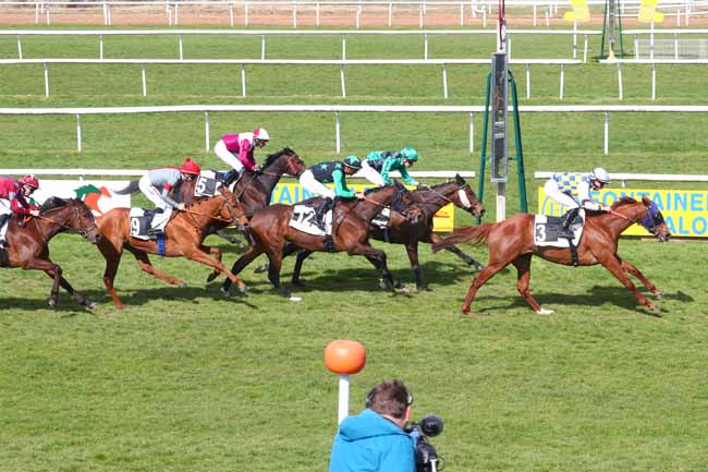 Photo d'arrivée de la course pmu PRIX MERCEDES-BENZ (PRIX DES MARAIS) à FONTAINEBLEAU le Mardi 1 avril 2025