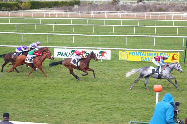 Photo d'arrivée de la course pmu PRIX GEORGES SANDOR à FONTAINEBLEAU le Mardi 1 avril 2025