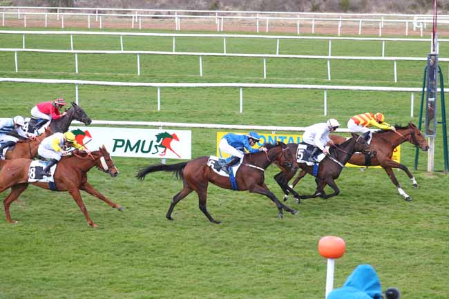 Photo d'arrivée de la course pmu PRIX DE SAMOIS-SUR-SEINE à FONTAINEBLEAU le Mardi 1 avril 2025