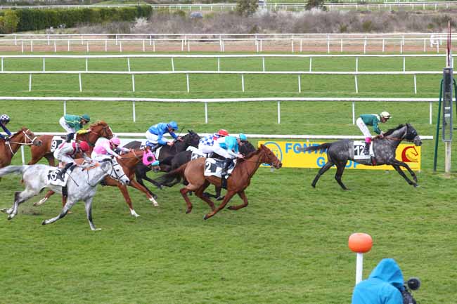 Photo d'arrivée de la course pmu PRIX DES ROSES à FONTAINEBLEAU le Mardi 1 avril 2025