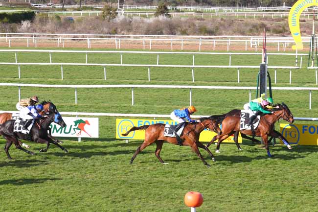 Photo d'arrivée de la course pmu PRIX DES PETITES FONTAINES à FONTAINEBLEAU le Mardi 1 avril 2025