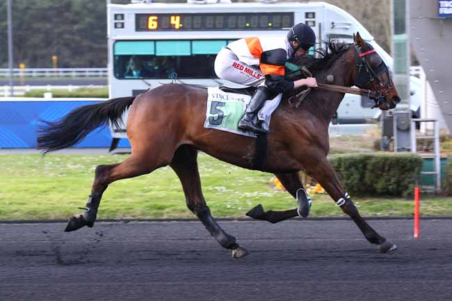 Photo d'arrivée de la course pmu PRIX ERIGONE à PARIS-VINCENNES le Mardi 1 avril 2025